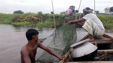 চলনবিলে বিলুপ্তির পথে দেশীয় মাছ ও জলজ প্রানী