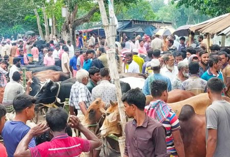 গুরুদাসপুরে হাটগুলোতে পশু আমদানী বাড়লেও বেচাকেনায় ধীরগতি