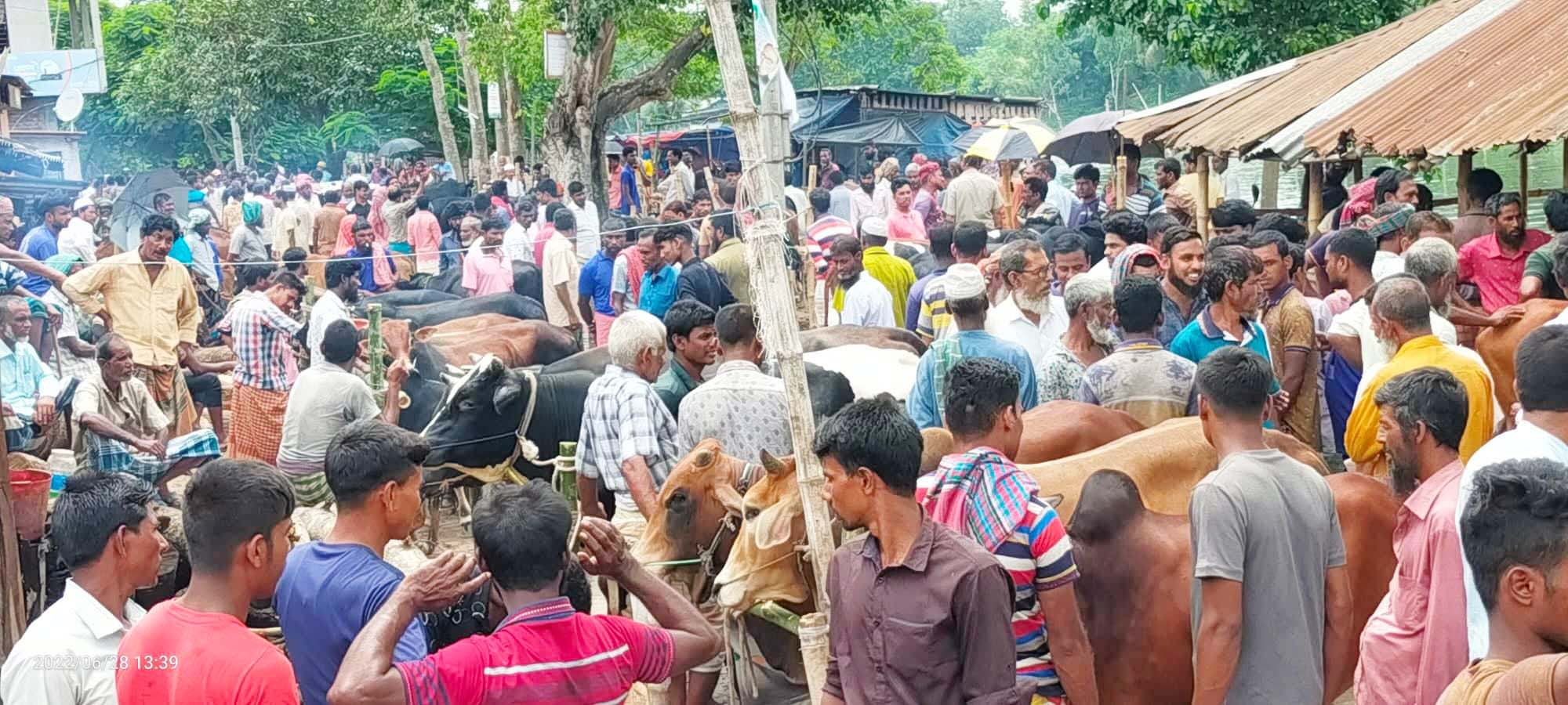 গুরুদাসপুরে হাটগুলোতে পশু আমদানী বাড়লেও বেচাকেনায় ধীরগতি