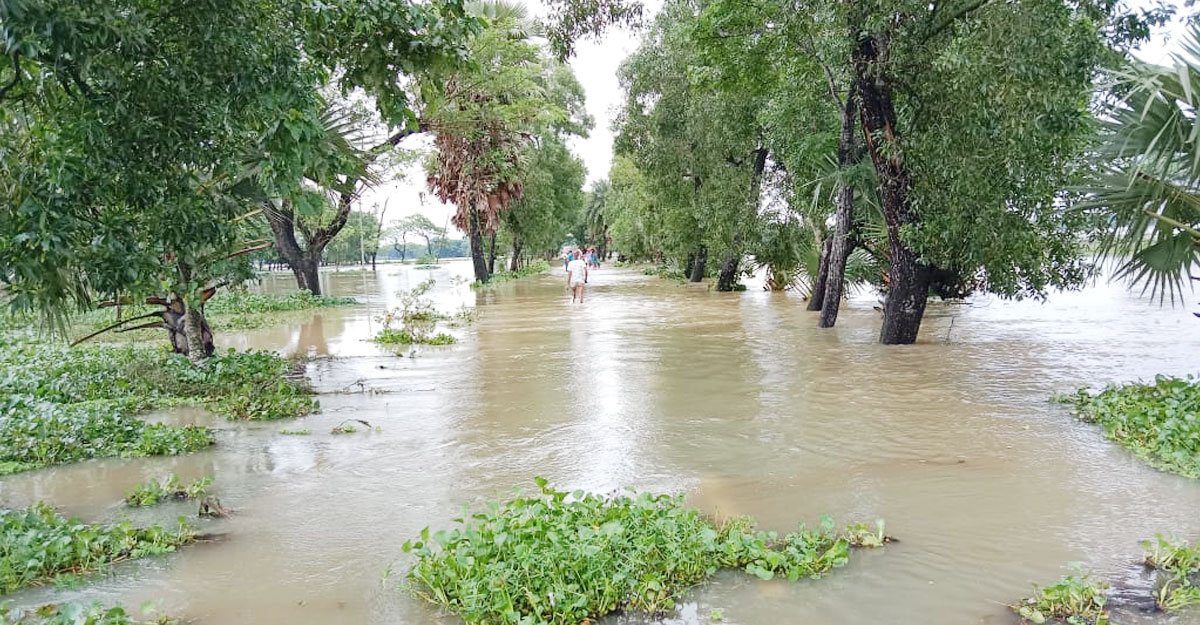 নেত্রকোণায় বন্যার পানিতে তলিয়ে প্রাণ গেল শিক্ষকের