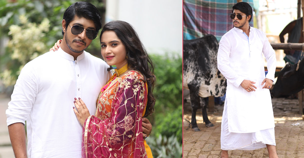 গরু কোরবানি নিয়ে বিপাকে তৌসিফ!