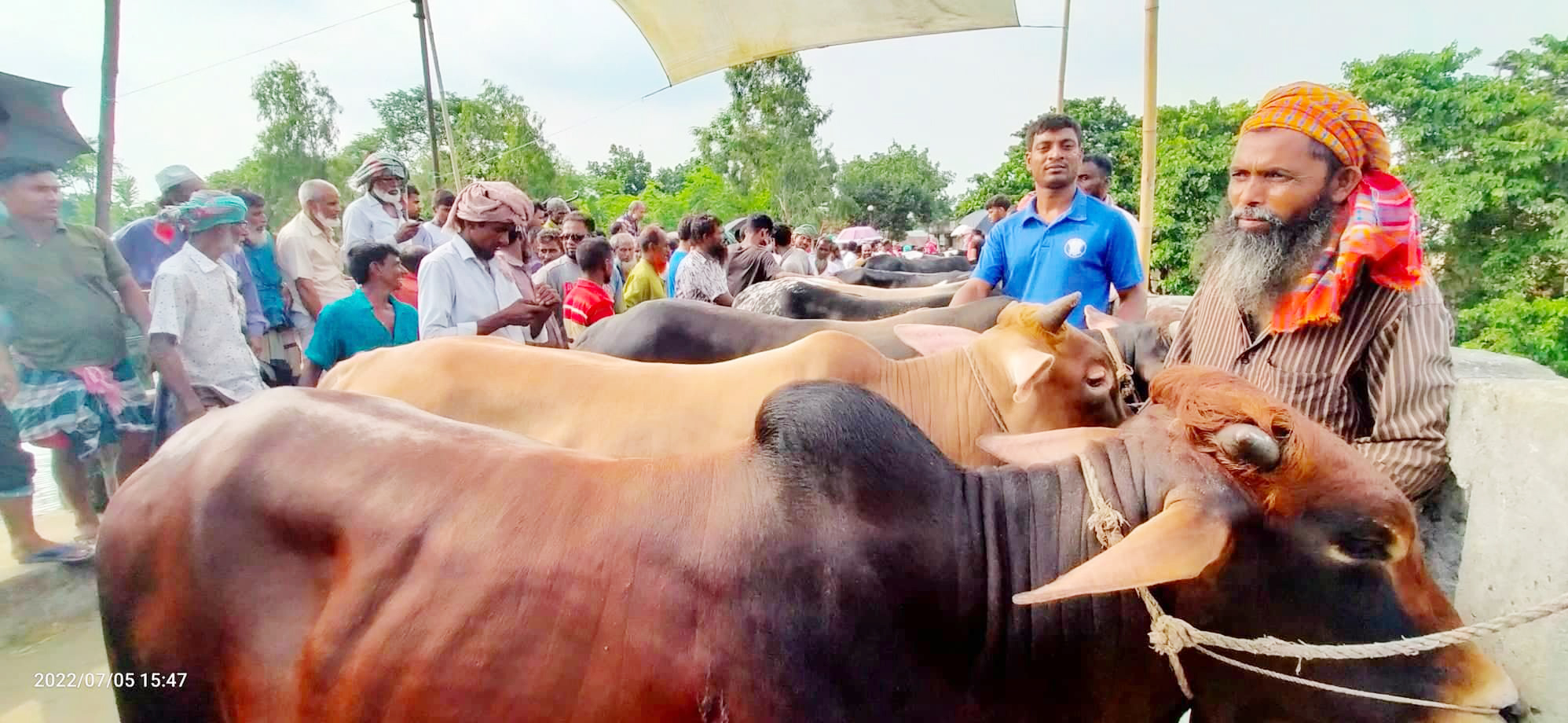 গুরুদাসপুরে কোরবানীর পশুর ভালোদাম খামারীদের মুখে খুশির ঝিলিক