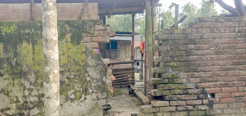নাটোরের বড়াইগ্রামে গোয়াল ঘরের দেয়াল ভেঙ্গে ২টি গরু চুরি
