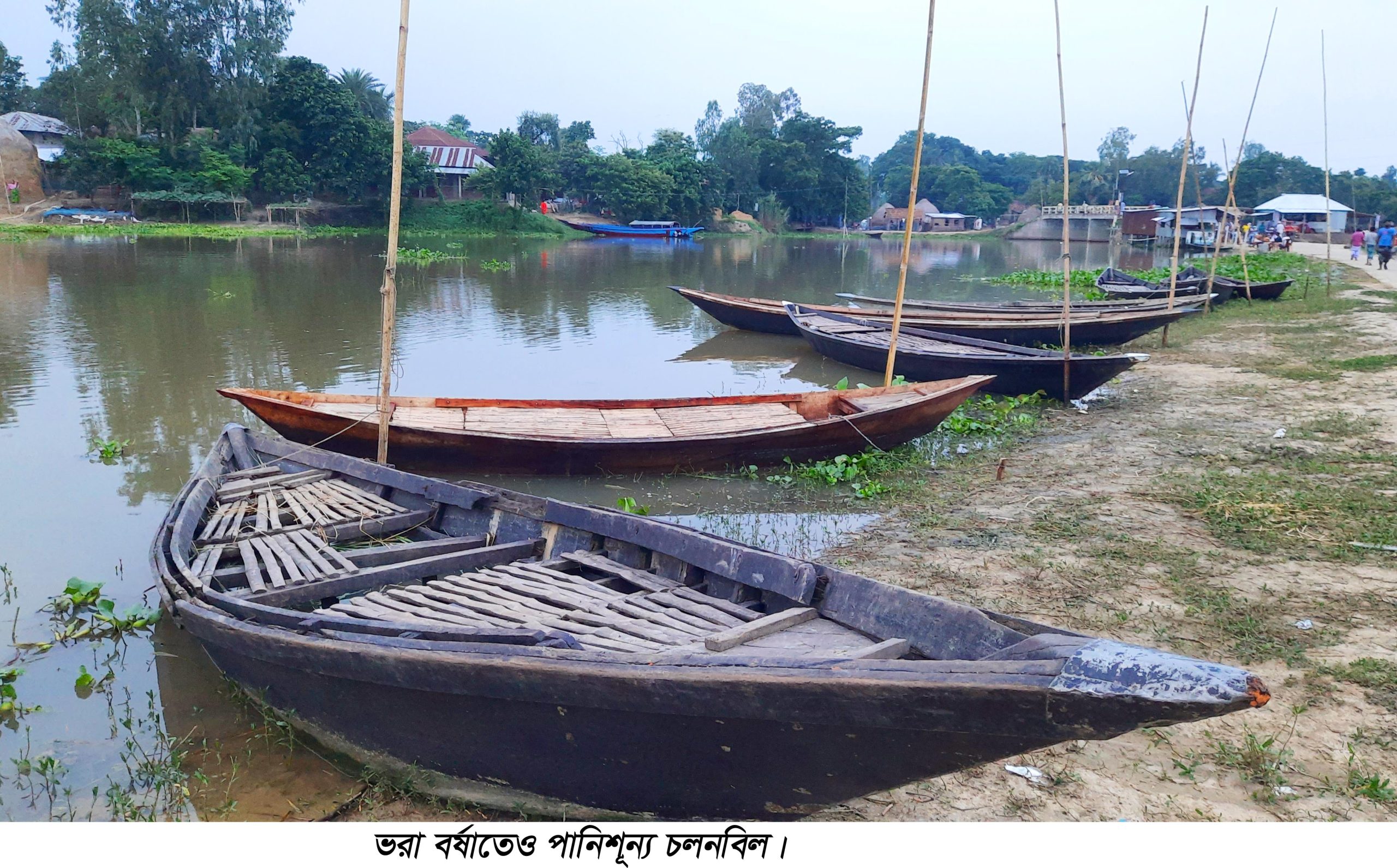 ভরা বর্ষাতেও পানিশূন্য চলনবিল