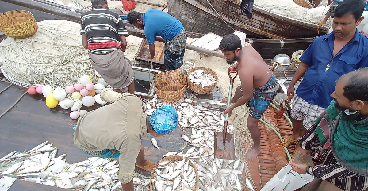 সাগরে মিলছে না ইলিশ, উদ্বিগ্ন ঋণ নেওয়া জেলেরা