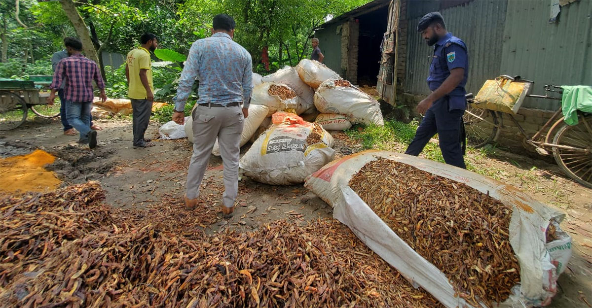 গুঁড়া মসলায় পচা মরিচ ও বিষাক্ত রং, জরিমানা ৬০০০০