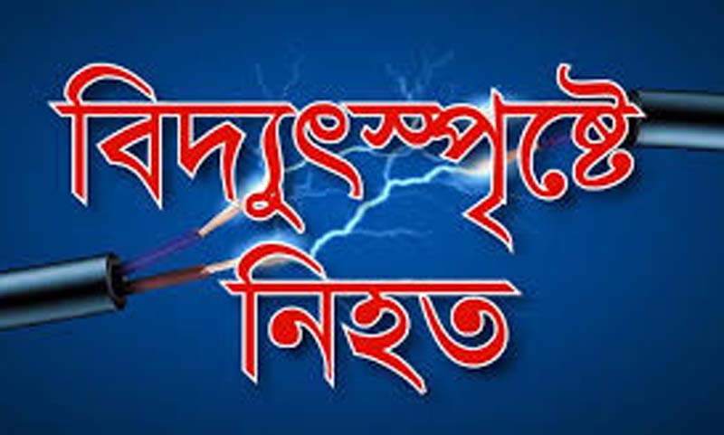 গুরুদাসপুরে বিদ্যুৎপৃষ্টে কৃষকের মৃত্যু