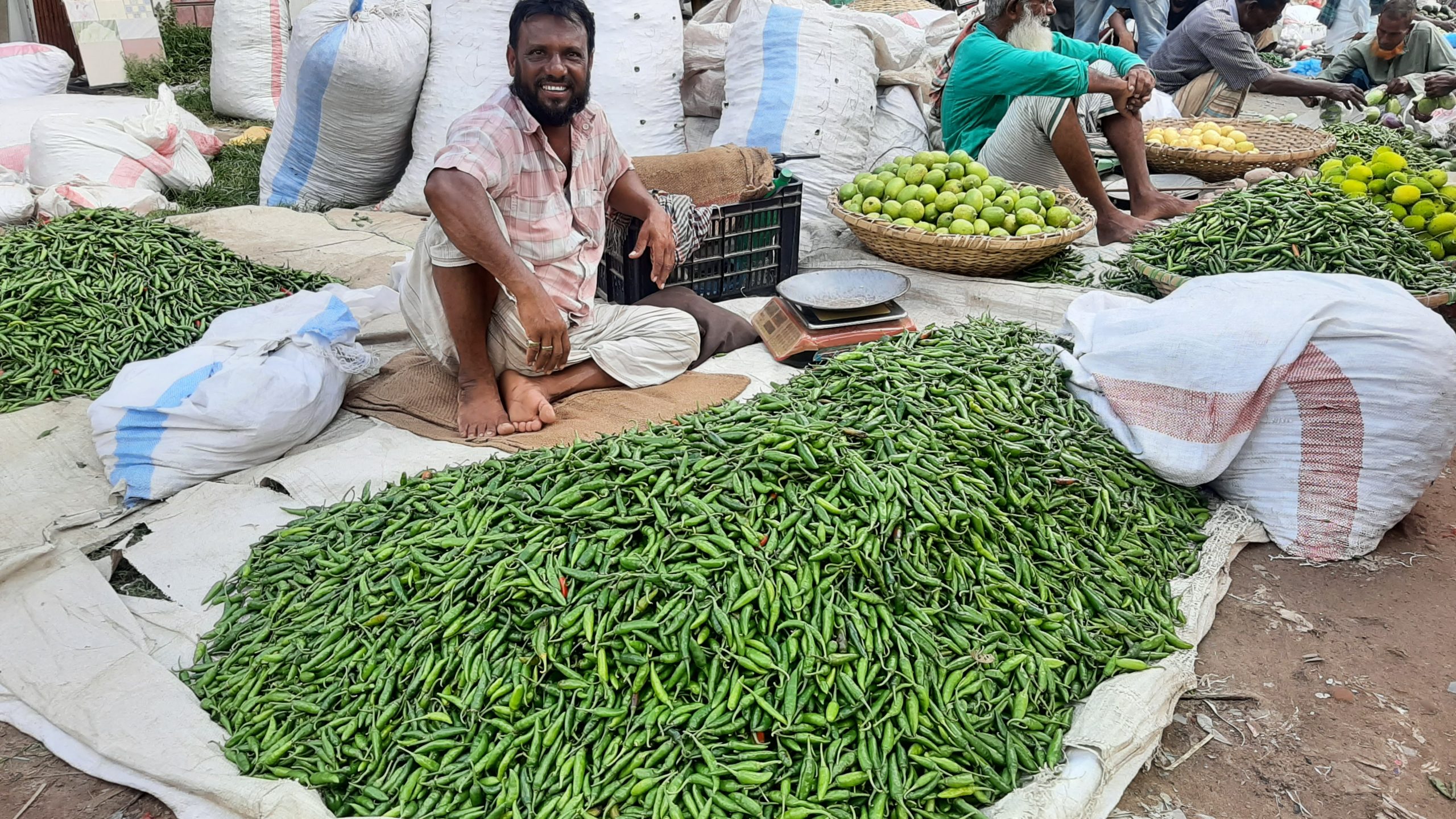কাঁচা মরিচ ২৫ টাকায় ১ কেজি! মাছের দাম চড়া