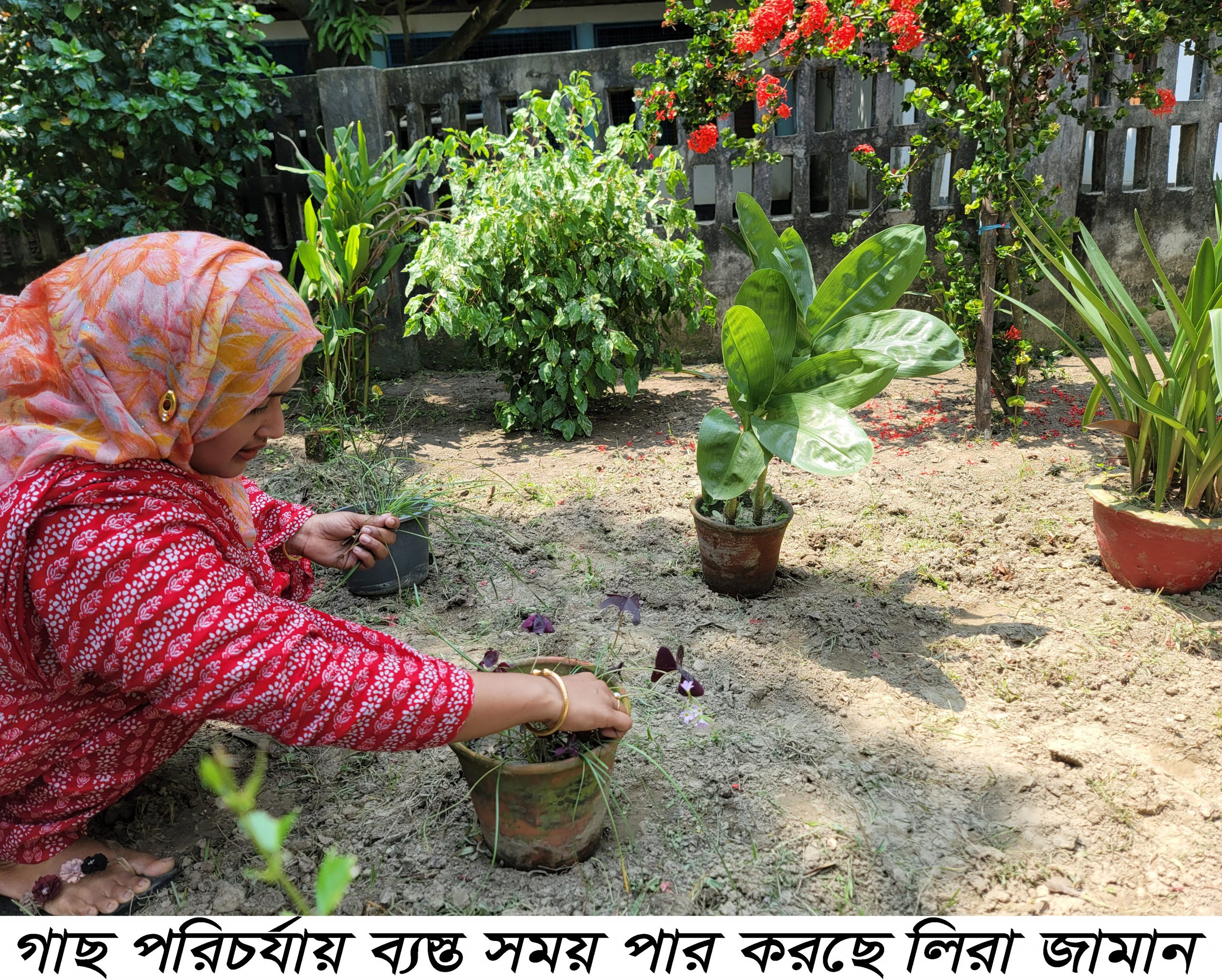 শখের বাগান করে সফল উদ্যোক্তা লিরা জামান