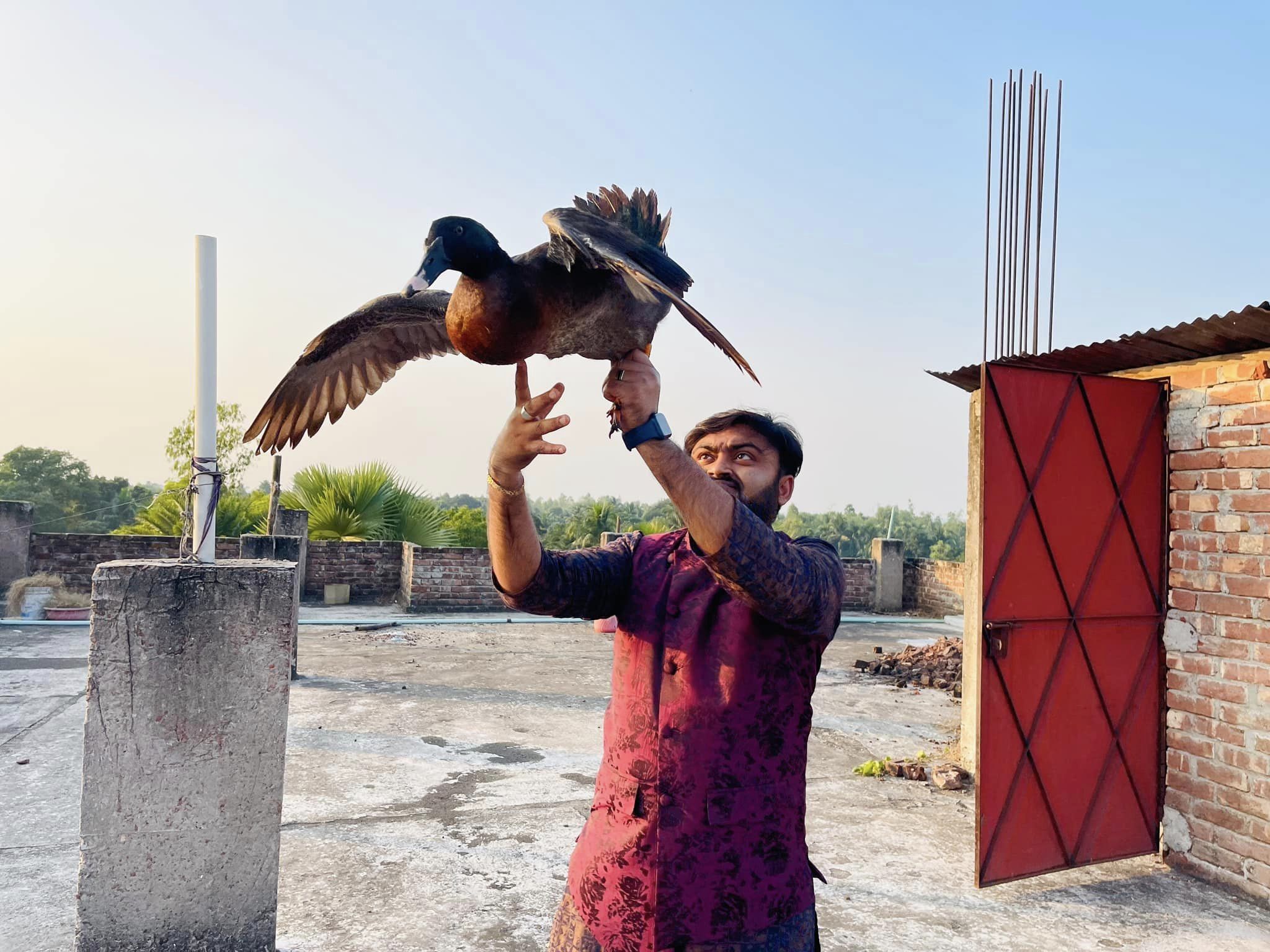 গুরুদাসপুরে বিপন্ন প্রজাতির পাখি উদ্ধার ও অবমুক্ত