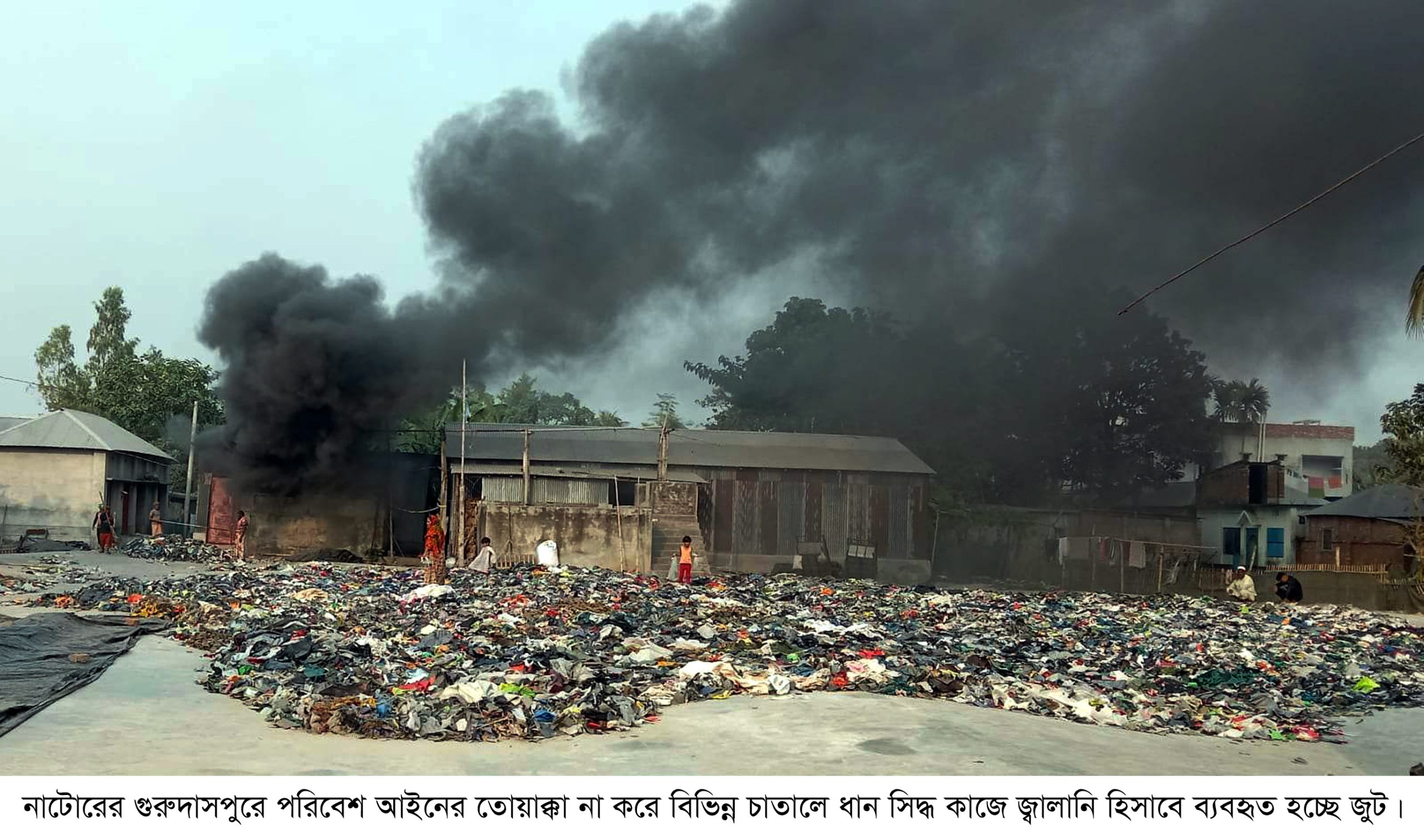 গুরুদাসপুরে ধানের চাতালে ক্ষতিকারক জুট পোড়ানোর সময় দিলেন ইউএনও