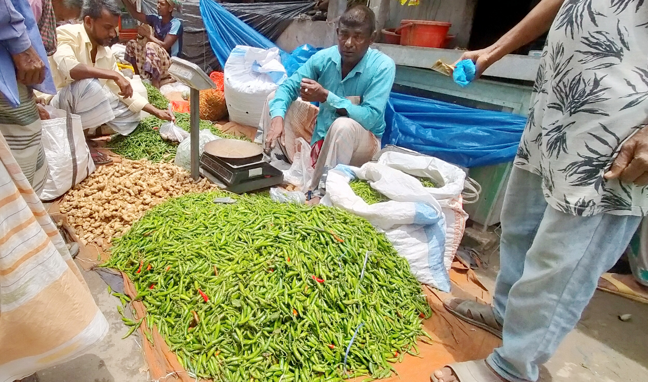 গুরুদাসপুরে কাঁচা মরিচের কেজি ৬শ টাকা