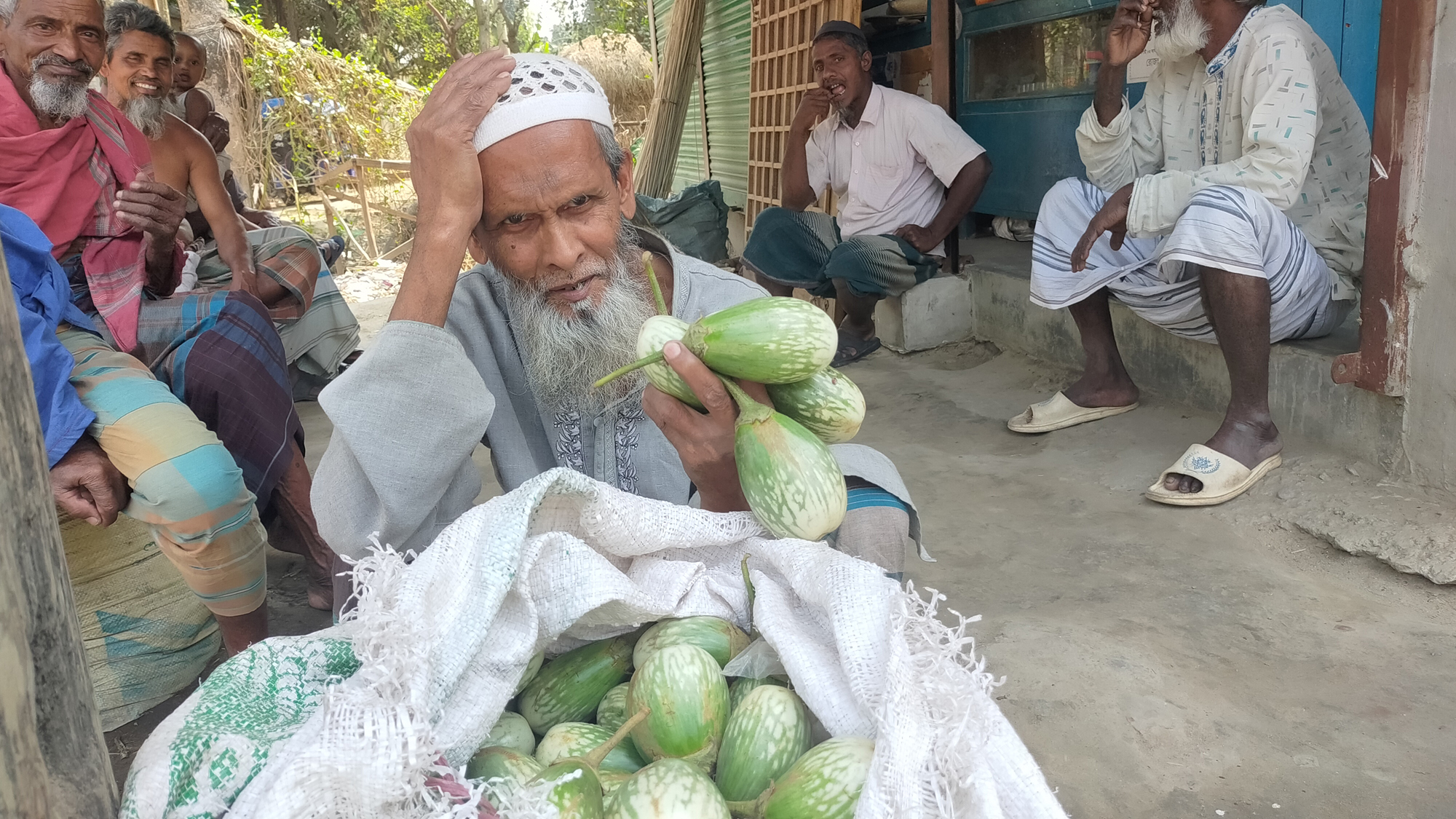 গুরুদাসপুরে বেগুনের কেজি ২ টাকা!