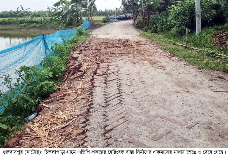 গুরুদাসপুরে নিম্নমানের উপকরণে রাস্তানির্মাণের একমাসেই ধ্বস